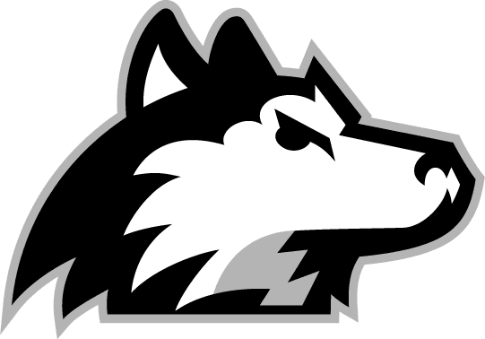 Northern Illinois Huskies 2001-Pres Alternate Logo 02 iron on paper